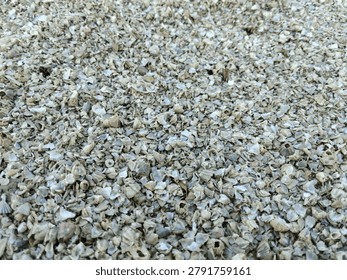 Perspective wide angle view of crushed seashells field at the coast