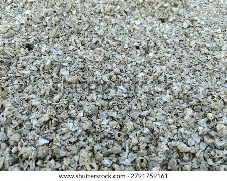 Perspective wide angle view of crushed seashells field at the coast
