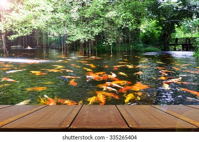 Perspective Wood View With Backyard Koi Fish Pond Background.