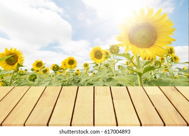 Perspective wooden table on top over blur sunflowers background, Empty table for Your photo, Great for summer products monatges display or design layout. .
 - Powered by Shutterstock