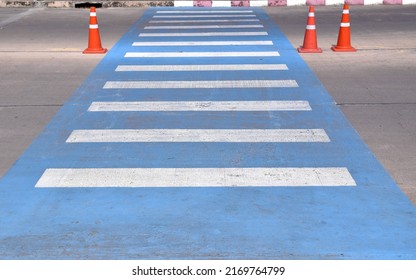 perspective of zebra crosswalk, blue white pedestrian crossing and three traffic cone on concrete road, traffic markings at which vehicles must stop to allow people to walk across the road