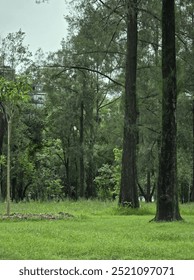 Jardín perteneciente al bosque de Chapultepec 