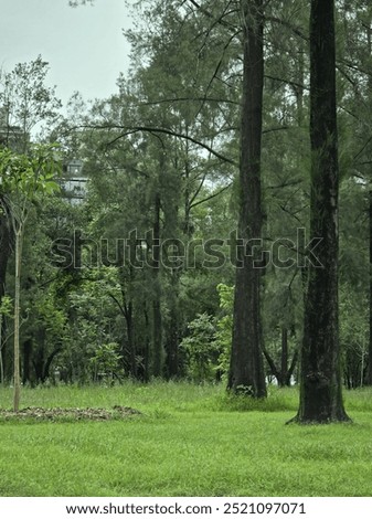 Jardín perteneciente al bosque de Chapultepec  Foto stock © 