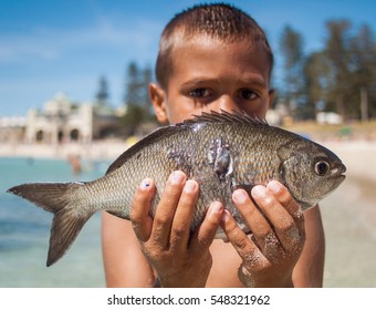 Perth, Australia, 05/05/2016, An Boy Holding Up A Freshly Spear Fished, Bream Fish, To The Camera.