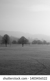 Perth North Inch Scotland 07/02/17