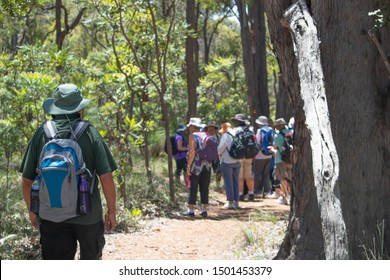 Perth, Western Australia / Australia - November 10 2015: Group Of Older People Walking A Path Through A Park