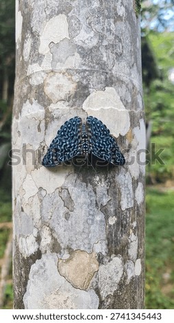 Peruvian Amazon Life At Arco Iris