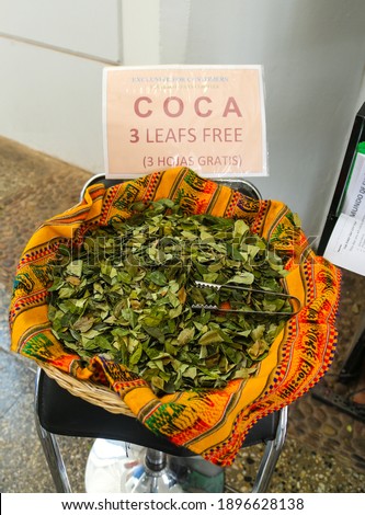 The Peruvian Coca Leafs offered to help tourists from all over the world  for preventing altitude sickness in Cusco, Peru