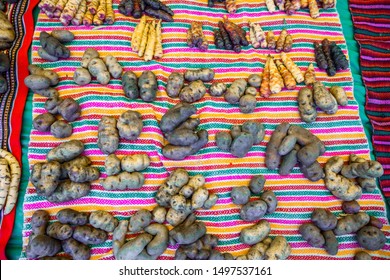 Peruvian Potatoes Colors Of Peru