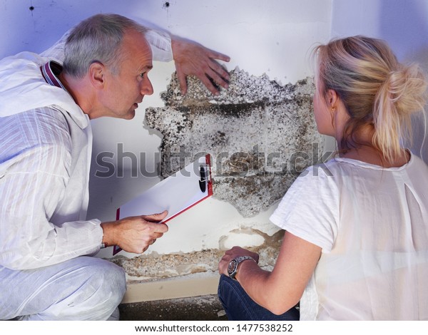 a pest control contractor or exterminator with a\
blonde female customer at a mold destroyed wall and explain her the\
problem and the plan whats to do against mold pests and bugs for\
hygienic