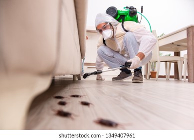 Pest control contractor working in the flat - Shutterstock ID 1349407961