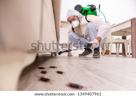 Pest control contractor working in the flat