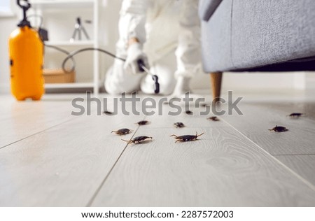 Pest control exterminating roaches inside the house. Professional exterminator in protective suit spraying insecticide from yellow sprayer bottle over cockroaches crawling on floor under sofa at home