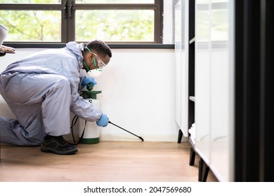 Pest Control Exterminator Man Spraying Termite Pesticide In Office