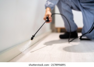Pest Control Exterminator Man Spraying Termite Pesticide In Office - Shutterstock ID 2178996891