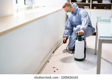 Pest Control Exterminator Man Spraying Termite Pesticide In Office