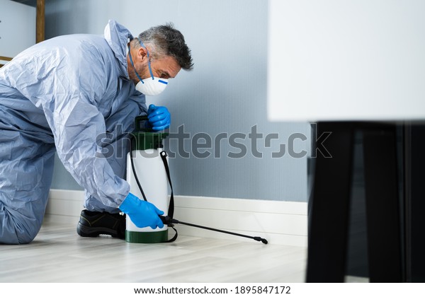 Pest Control Exterminator Man Spraying Termite\
Pesticide In Office