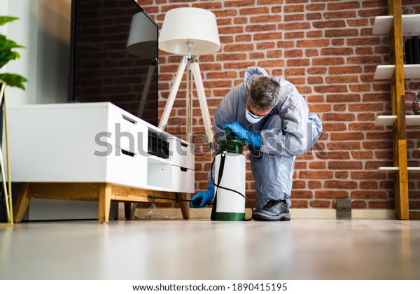 Pest Control Exterminator Services Spraying
Termite Insecticide