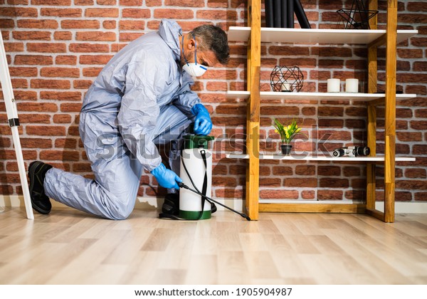 Pest Control Exterminator Services Spraying\
Termite Insecticide