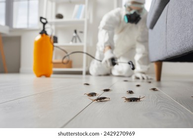 Pest control guy exterminating home insects. Male contractor in white protective workwear sprays toxic gas on floor and furniture inside house. Close up disgusting cockroaches trying escape under sofa - Powered by Shutterstock