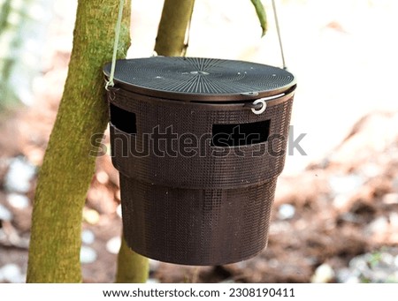 Pest control. A plastic contraption containing pheromone to attract red palm weevil or rhinoceros beetle, a serious threat to coconut trees. 
