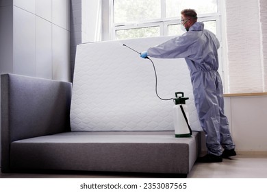 Pest Control Service. Bug Bed Treatment By Exterminator - Powered by Shutterstock