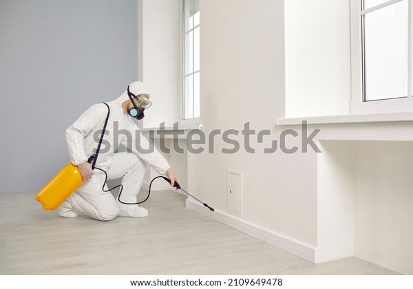 Pest control service guy working inside the house.
Man in white protective overalls crouching near wall and spraying
cockroach insecticide from yellow sprayer for safe living
environment at home