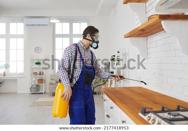 Pest control service in the house. Guy in a\
mask and blue overall workwear uniform working in a modern studio\
apartment. Young man standing in the kitchen and spraying\
insecticide over the\
countertop
