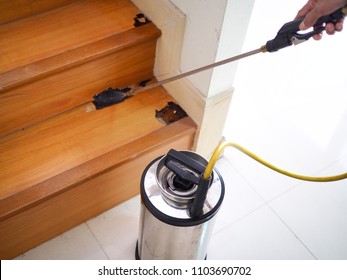 Pest Control Technician Using Equipment And Liquid To Dispose Termite Infested Wood Inside House.