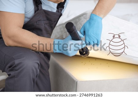 Pest control worker with flashlight examining bed, closeup. Bedbugs extermination