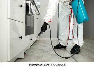 pest control. A worker in a protective suit cleans the shelves in the kitchen from cockroaches and ants with a spray, the sanitary service disinfects the room with a chemical agent