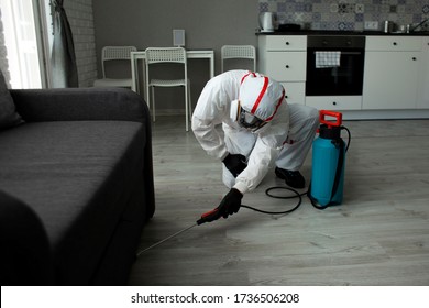 pest control. A worker in a protective suit cleans the room from cockroaches and rats with a spray gun, the sanitary service disinfects the apartment with a chemical agent