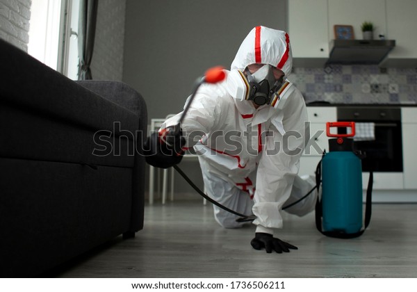 pest\
control. A worker in a protective suit cleans the room from\
cockroaches and rats with a spray gun, the sanitary service\
disinfects the apartment with a chemical\
agent