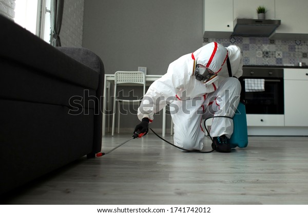 pest\
control. A worker in a protective suit cleans the room from\
cockroaches and rats with a spray gun, the sanitary service\
disinfects the apartment with a chemical\
agent