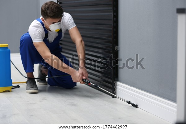 Pest control\
worker spraying pesticide in\
room