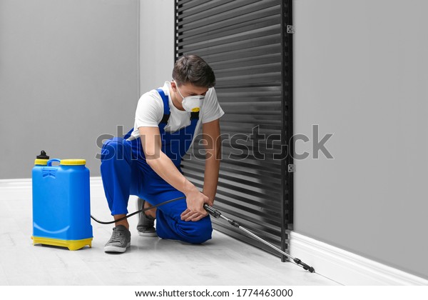 Pest control\
worker spraying pesticide in\
room