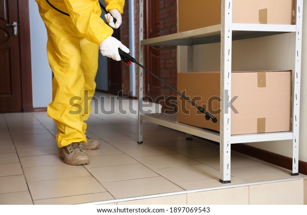 Pest control worker spraying pesticide on rack\
indoors, closeup