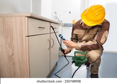 Pest Control Worker Spraying Pesticides On Wooden Drawer - Powered by Shutterstock