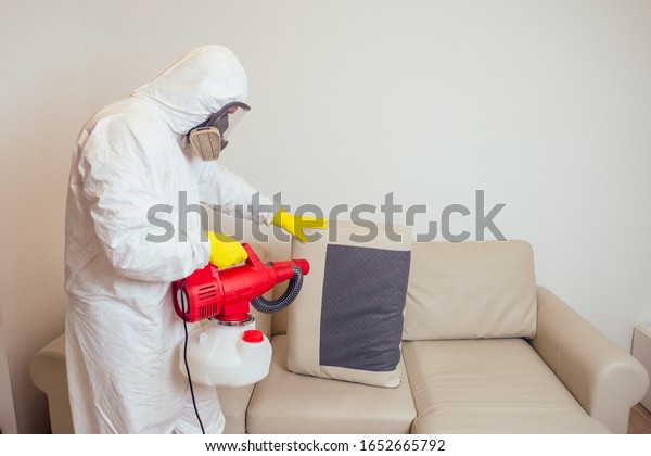 pest control worker in uniform spraying\
pesticides under couch in living lounge\
room