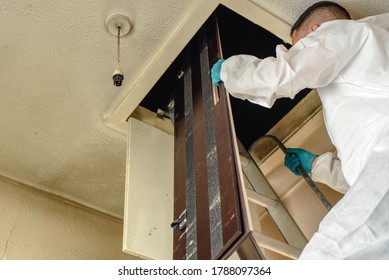 Pest Controller,  Builder, Trades Man Climbing Ladder In To Loft Hatch With Loft Crawl Board.