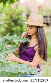 Pest Plant Leaf Disease In Agriculture. Parasite Pesticide Free In Organic Food. Mid Hispanic Woman