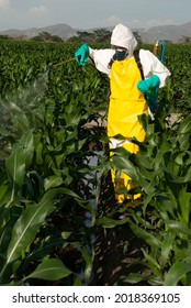 Pesticide Application On A Corn Field For Pest Control