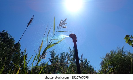 Pesticide Spray Wand Showing Sunlight Illuminated Mist In Front Of Tall Grass