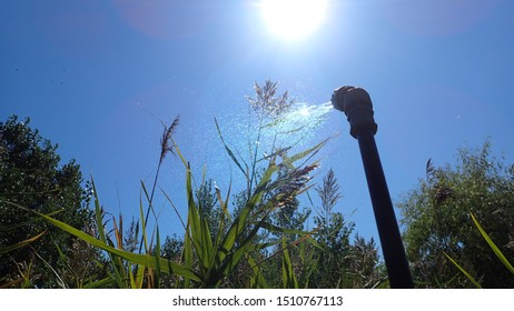 Pesticide Spray Wand Showing Sunlight Illuminated Mist In Front Of Tall Grass