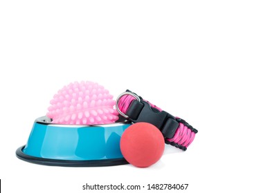 Pet accessories concept.  Pet Stainless bowls with toy on isolated white background.