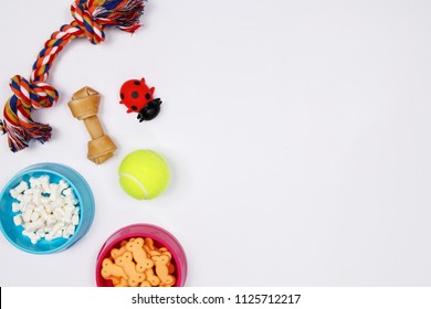 Pet Flat Lay Images Stock Photos Vectors Shutterstock