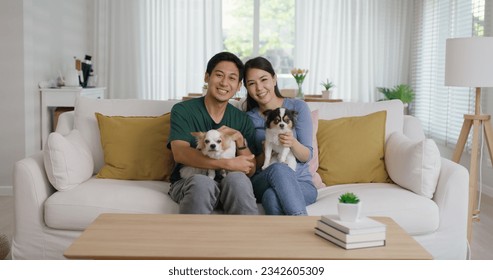 Pet as baby child in Gen Z asia young adult couple hug cuddle dog sit at home sofa couch looking at camera. Selfie with small cute little chihuahua owner relax family cozy life love puppy animal lover - Powered by Shutterstock