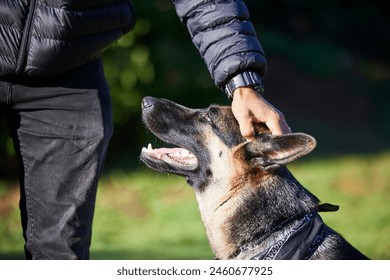 Pet, best friend and dog with person in park for exercise, training and adventure outdoors. Owner, happy and man with German Shepherd on holiday, vacation and weekend for games, bonding and fun