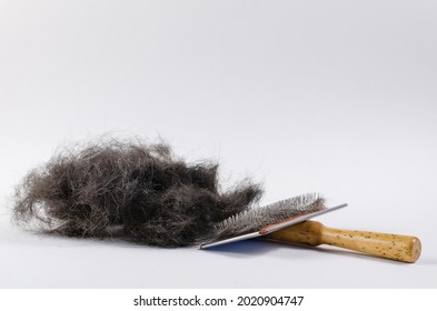 Pet brush and black dog hair on a white background. Special comb for combing out dead pet hair with a wooden handle. Bunch of shedding pet hair.Side view at an angle. - Shutterstock ID 2020904747