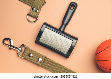 Pet Brush, Leash And Ball On Color Background